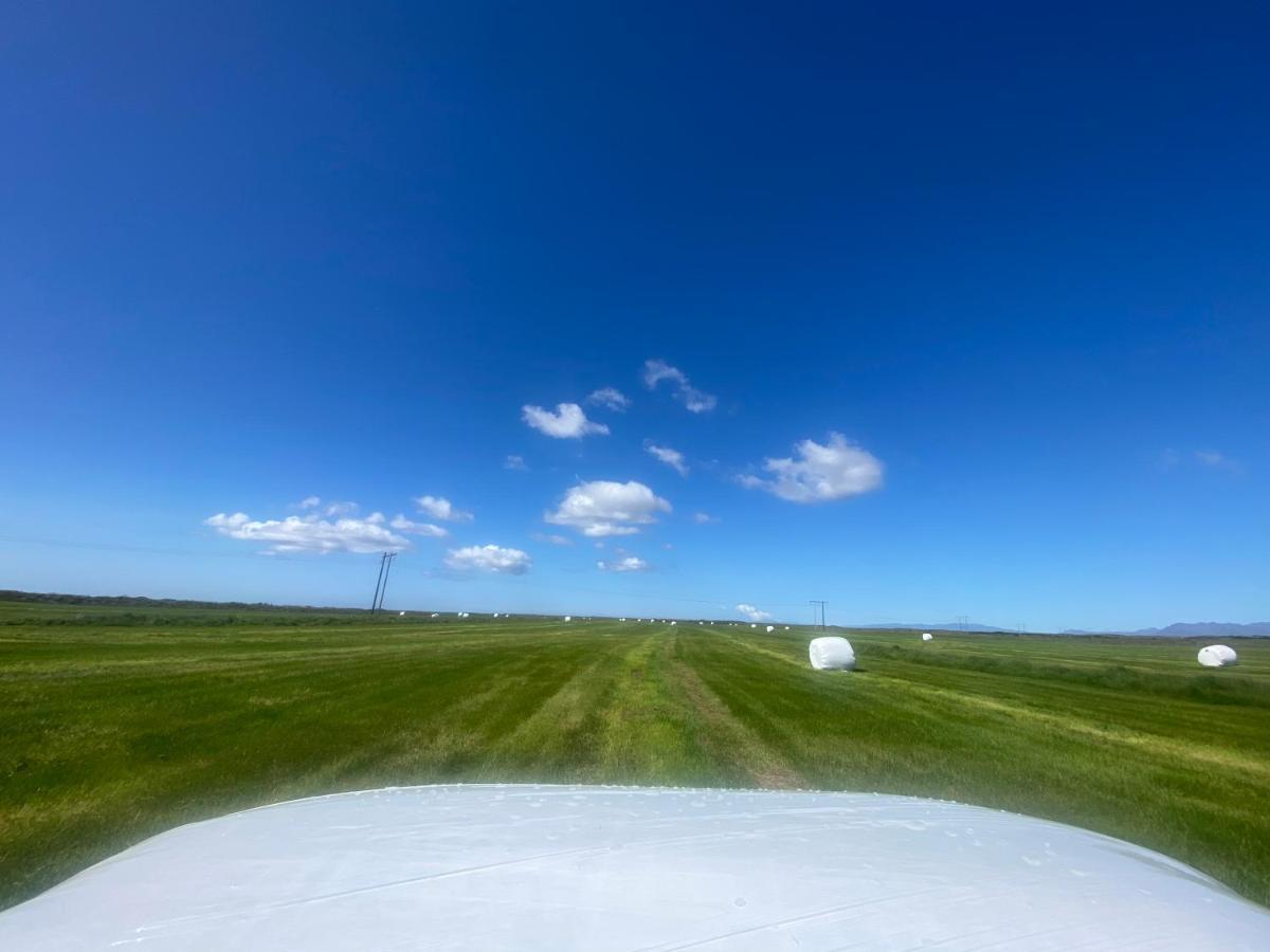 Alftartunga Farm Guesthouse Borgarnes Zewnętrze zdjęcie
